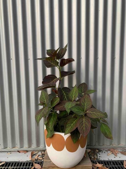 デンマークFern3Bnbアパートメント エクステリア 写真